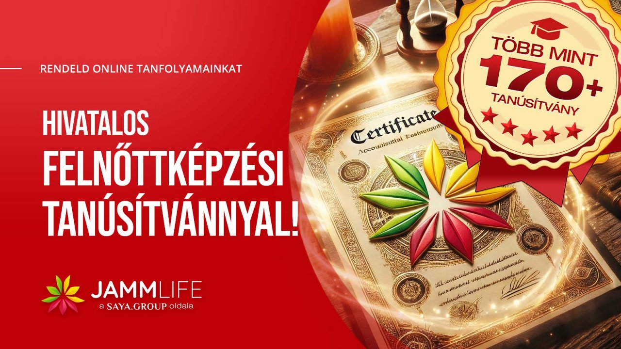 Hivatalos Felnőttképzési Tanúsítvány